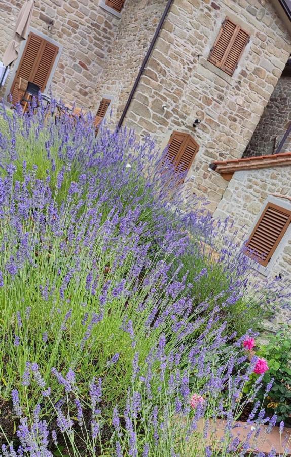 Podere Verdi Colline Poppi Dış mekan fotoğraf