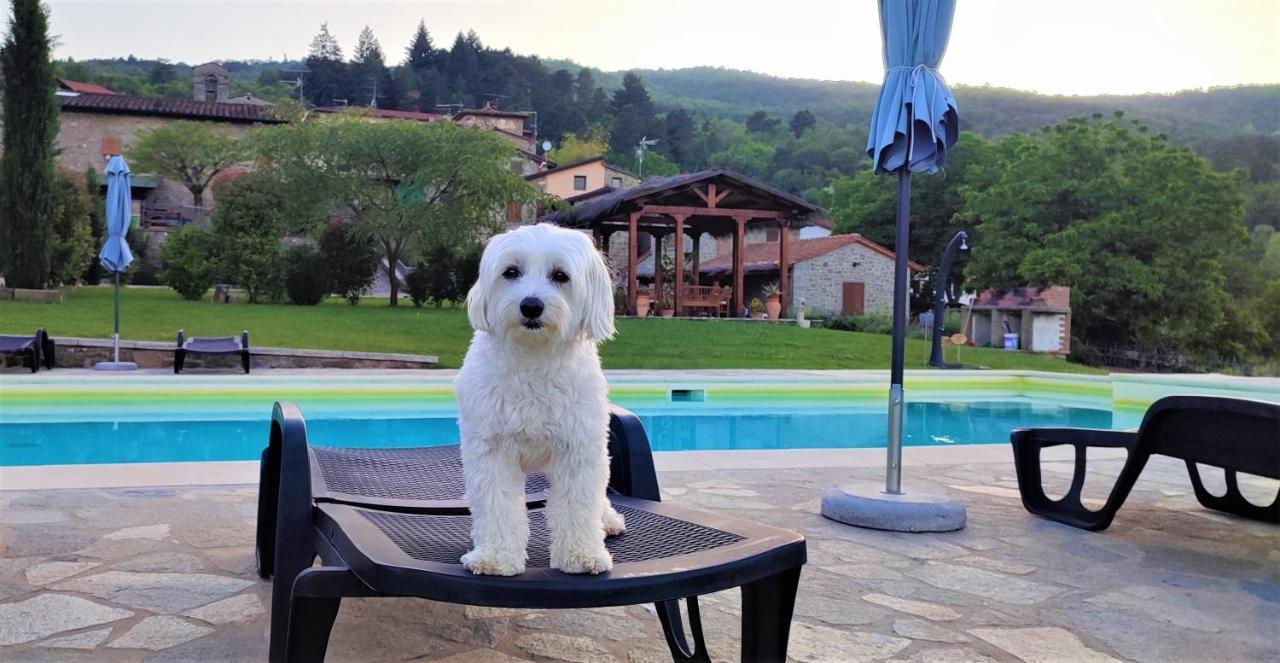Podere Verdi Colline Poppi Dış mekan fotoğraf