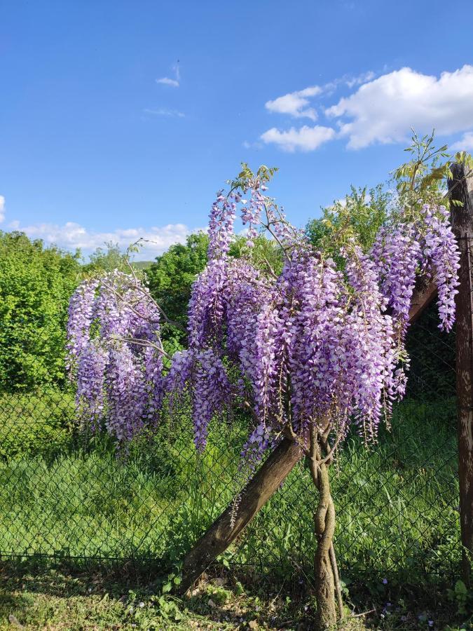 Podere Verdi Colline Poppi Dış mekan fotoğraf